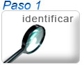 Identificar licencias