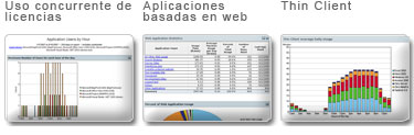 Informes Survey