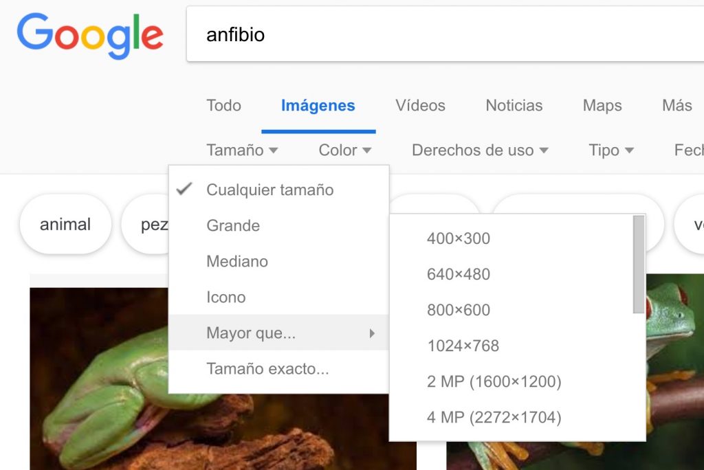 filtrar-tamaño-google-imagenes