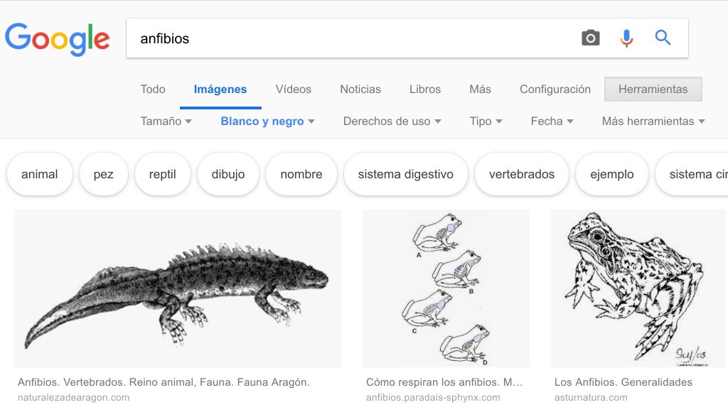 filtro-blanco-negro-google-imagenes