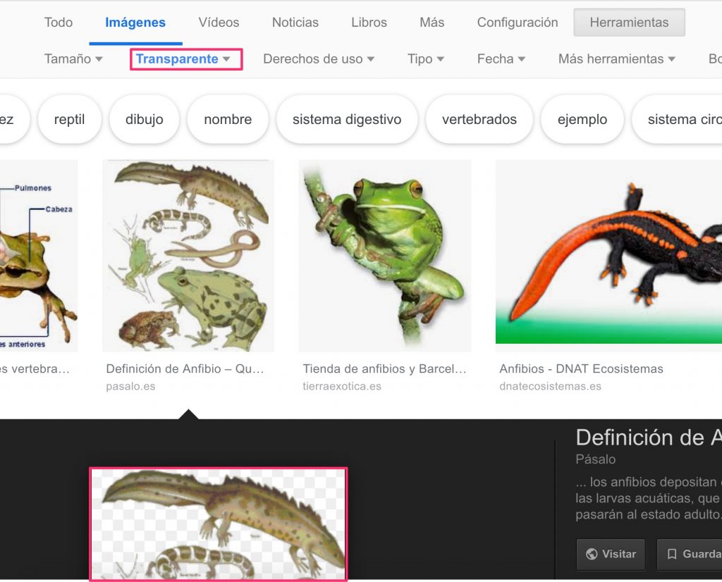 obtener-imagen-fondo-transparente-google-imagenes
